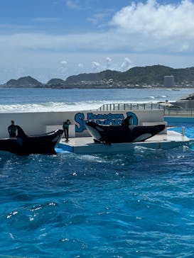 鴨川シーワールドに投稿された画像（2024/9/28）