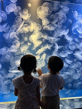 鴨川シーワールドに投稿された画像（2024/9/28）