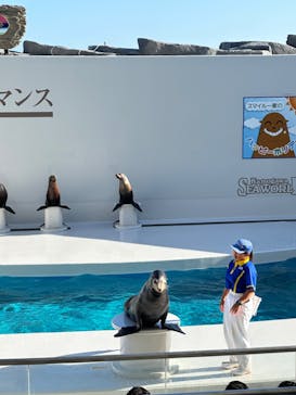 鴨川シーワールドに投稿された画像（2024/9/28）