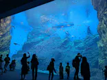仙台うみの杜水族館に投稿された画像（2024/9/28）