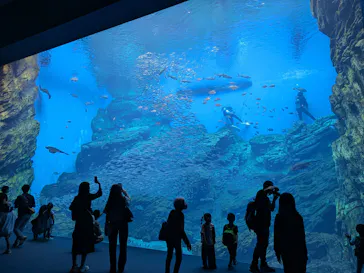 仙台うみの杜水族館に投稿された画像（2024/9/28）
