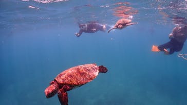 ちゃこたびに投稿された画像（2024/9/28）