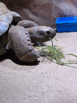 AQUARIUM × ART　atoaに投稿された画像（2024/9/28）