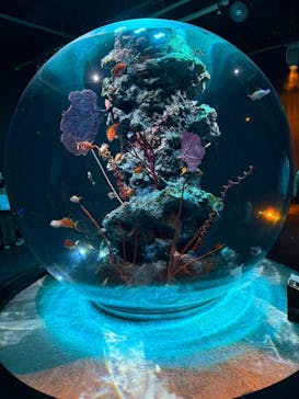 AQUARIUM × ART　atoaに投稿された画像（2024/9/28）