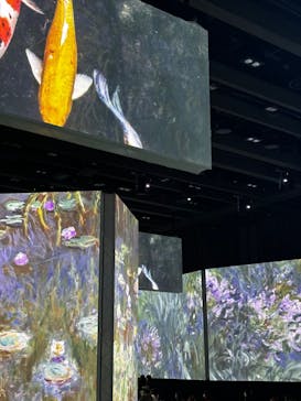 モネ＆フレンズ・アライブに投稿された画像（2024/9/28）