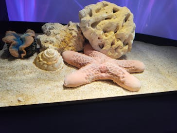 サンシャイン水族館に投稿された画像（2024/9/28）