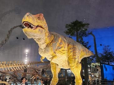 福井県立恐竜博物館に投稿された画像（2024/9/28）