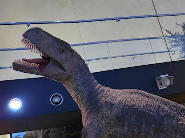 福井県立恐竜博物館に投稿された画像（2024/9/28）