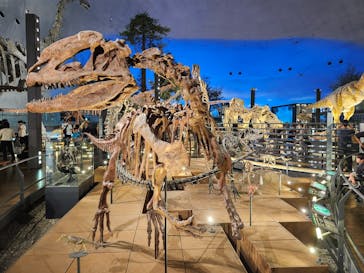 福井県立恐竜博物館に投稿された画像（2024/9/28）