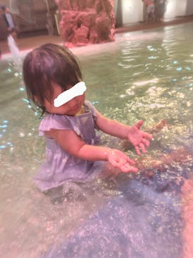 東京サマーランドに投稿された画像（2024/9/28）