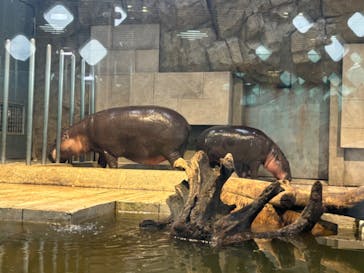 NIFREL（ニフレル）に投稿された画像（2024/9/28）