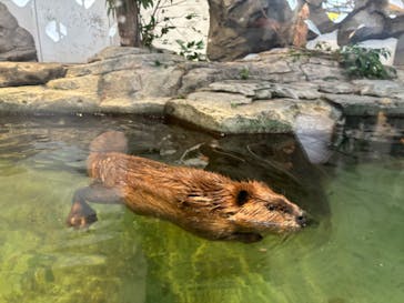 NIFREL（ニフレル）に投稿された画像（2024/9/28）