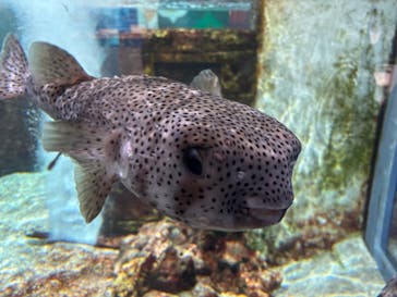 NIFREL（ニフレル）に投稿された画像（2024/9/28）