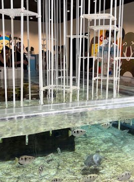 NIFREL（ニフレル）に投稿された画像（2024/9/28）