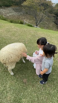 神戸市立六甲山牧場に投稿された画像（2024/9/28）