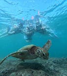 ちゃこたびに投稿された画像（2024/9/28）