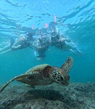 ちゃこたびに投稿された画像（2024/9/28）