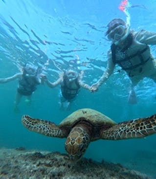 ちゃこたびに投稿された画像（2024/9/28）