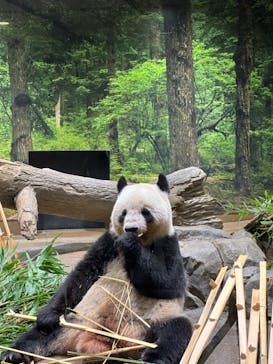 恩賜上野動物園に投稿された画像（2024/9/29）