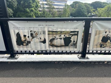 恩賜上野動物園に投稿された画像（2024/9/29）