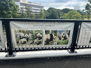 恩賜上野動物園に投稿された画像（2024/9/29）