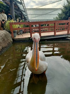 神戸どうぶつ王国に投稿された画像（2024/9/29）