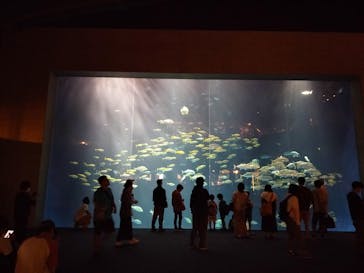四国水族館に投稿された画像（2024/9/29）