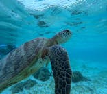 nico 宮古島に投稿された画像（2024/9/28）