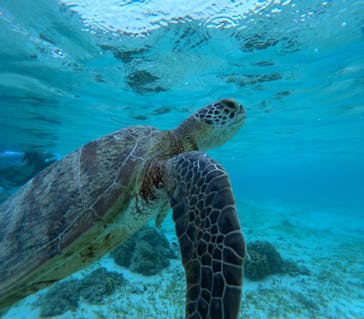 nico 宮古島に投稿された画像（2024/9/28）