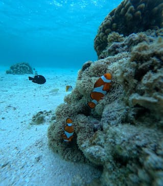 nico 宮古島に投稿された画像（2024/9/28）