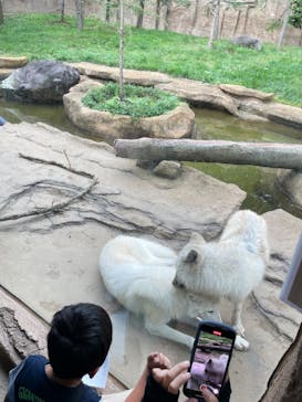 那須どうぶつ王国に投稿された画像（2024/9/29）