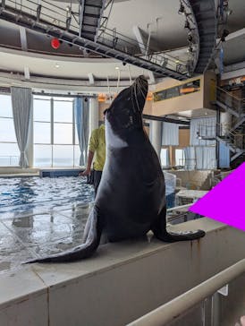 アクアワールド茨城県大洗水族館に投稿された画像（2024/9/29）