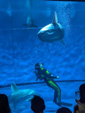 アクアワールド茨城県大洗水族館に投稿された画像（2024/9/29）