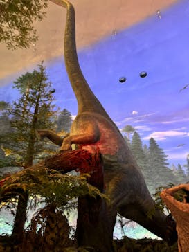 福井県立恐竜博物館に投稿された画像（2024/9/29）