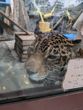 天王寺動物園に投稿された画像（2024/9/29）