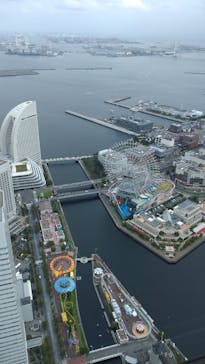 横浜ランドマークタワー 69階展望フロア スカイガーデンに投稿された画像（2024/9/29）