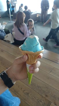 横浜ランドマークタワー 69階展望フロア スカイガーデンに投稿された画像（2024/9/29）