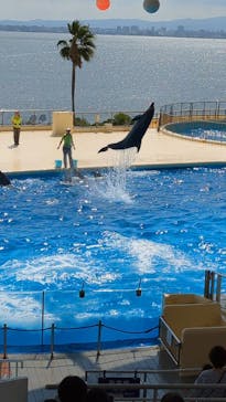マリンワールド海の中道に投稿された画像（2024/9/29）