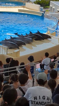 マリンワールド海の中道に投稿された画像（2024/9/29）