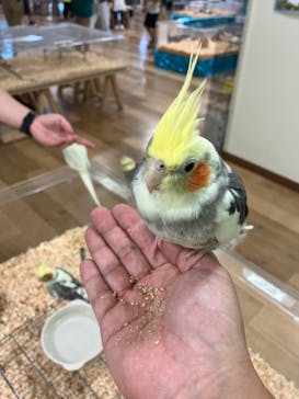 いきもの探検隊湘南に投稿された画像（2024/9/29）