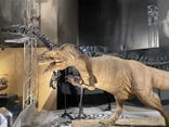 福井県立恐竜博物館に投稿された画像（2024/9/29）