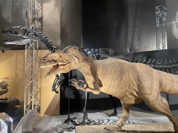 福井県立恐竜博物館に投稿された画像（2024/9/29）