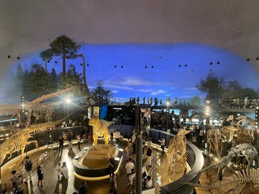 福井県立恐竜博物館に投稿された画像（2024/9/29）