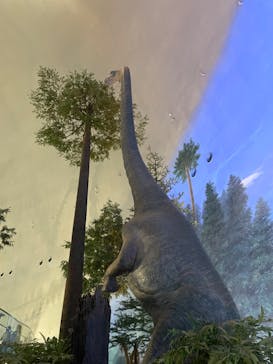 福井県立恐竜博物館に投稿された画像（2024/9/29）