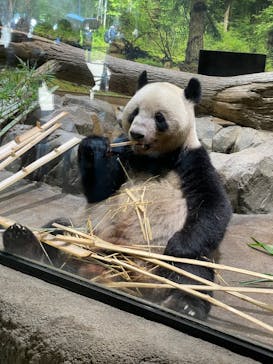 恩賜上野動物園に投稿された画像（2024/9/29）