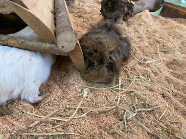 長崎バイオパークに投稿された画像（2024/9/29）