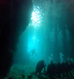 武藤潜水に投稿された画像（2024/9/29）