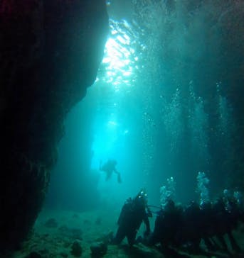 武藤潜水に投稿された画像（2024/9/29）