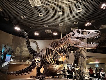 国立科学博物館に投稿された画像（2024/9/29）