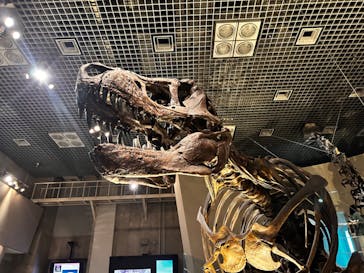 国立科学博物館に投稿された画像（2024/9/29）